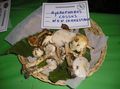 Hygrophorus cossus
